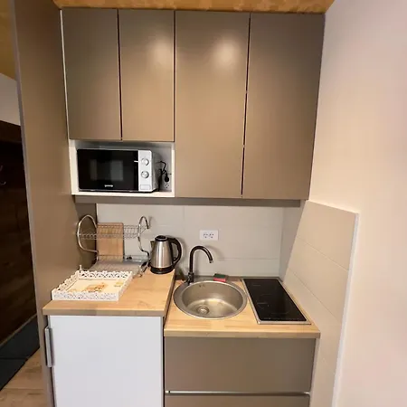 Vidatela Appartement Kopaonik