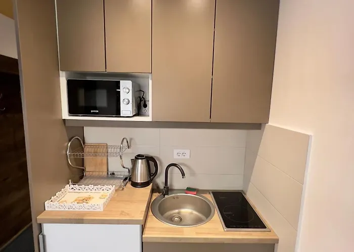 Vidatela Apartment Kopaonik